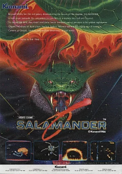 Salamander (version D)