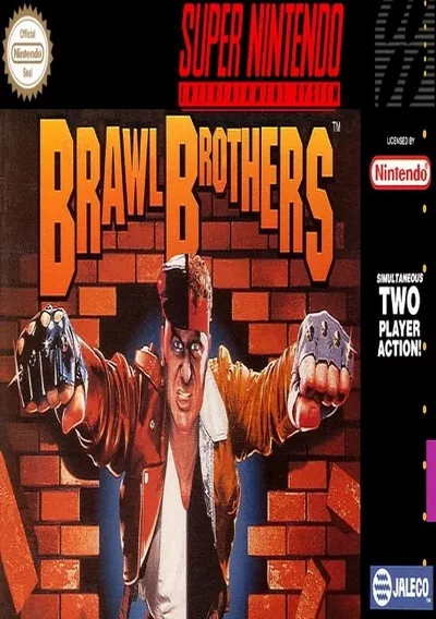 Brawl Brothers