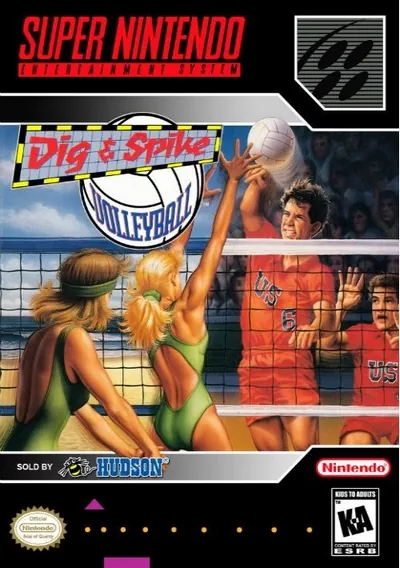 Dig & Spike Volleyball