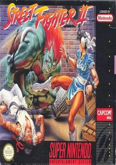 Street Fighter II - The World Warrior